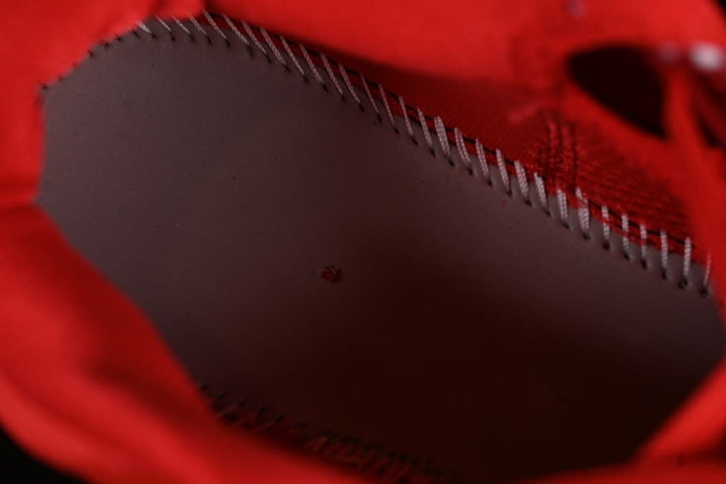 Close-up of the shoe interior lining and stitching