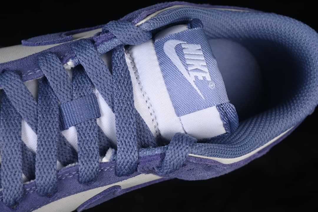 Close-up of blue laces, tongue label, and padded collar