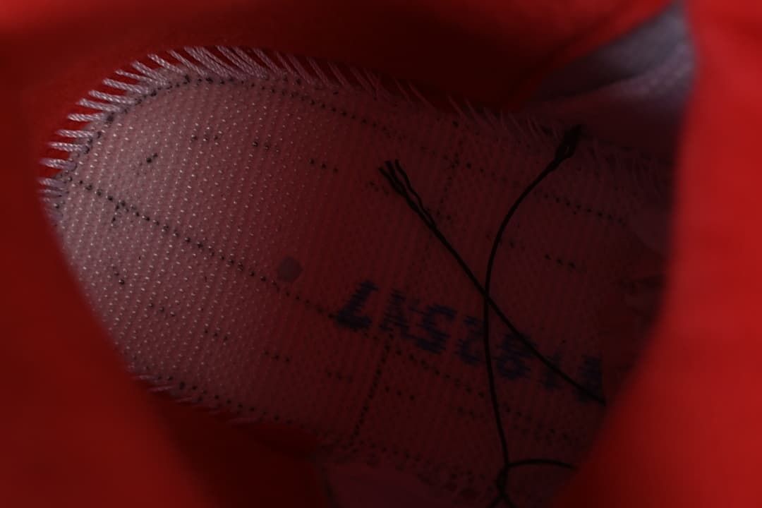 Close-up view inside the sneaker, showing the inner lining and stitching.