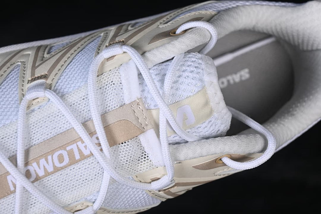 Close-up of the laces and mesh tongue.
