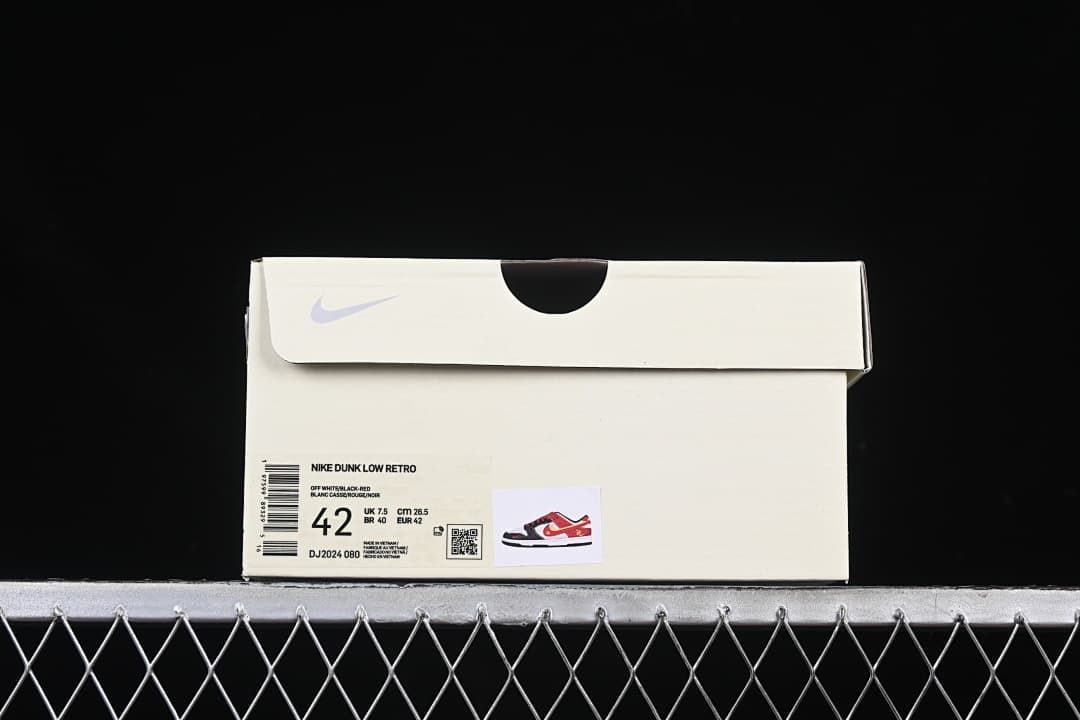 Shoebox label identifying the sample as Nike Dunk Low Retro and showing size 42