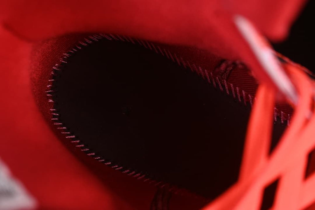 Close-up view inside the shoe collar
