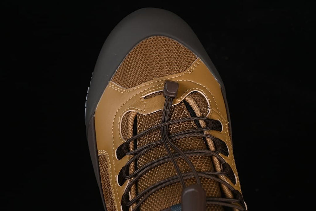Top-down view of the shoe's toe and lacing