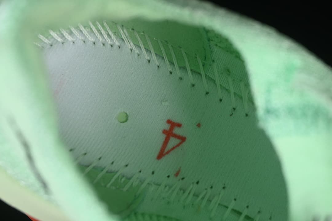 Interior view of the shoe lining and insole