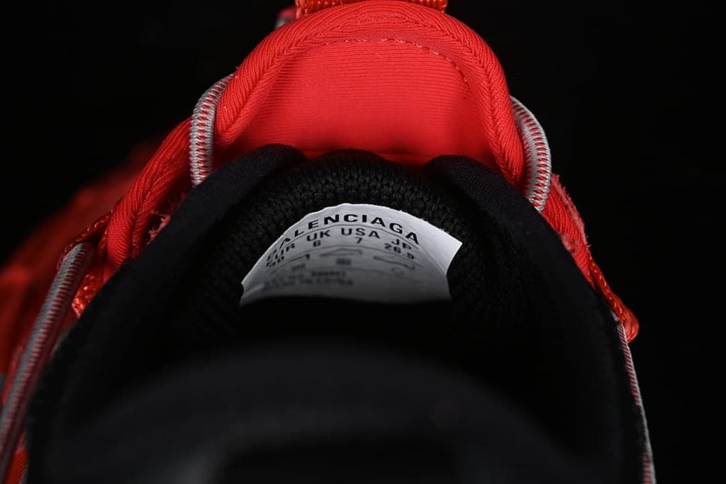 Close-up of the sneaker tongue label and padded collar