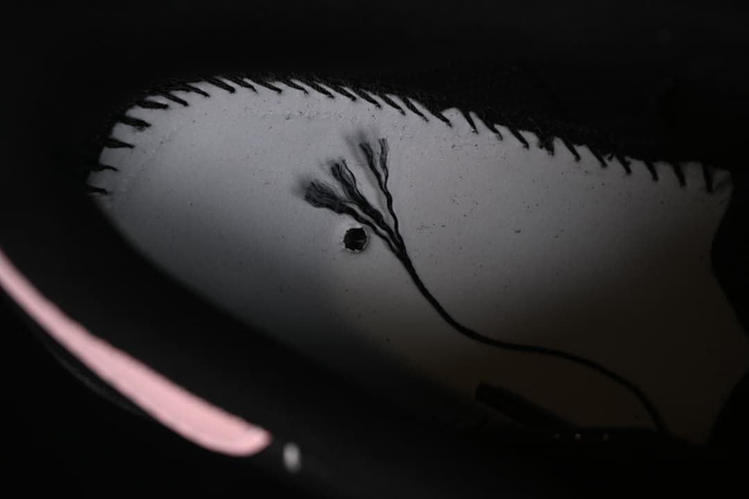 Close-up of the sneaker's interior lining and stitching