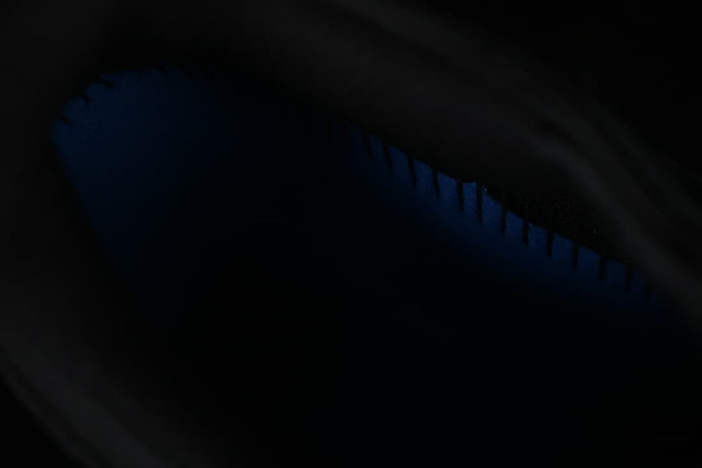 Dark close-up view inside the shoe.