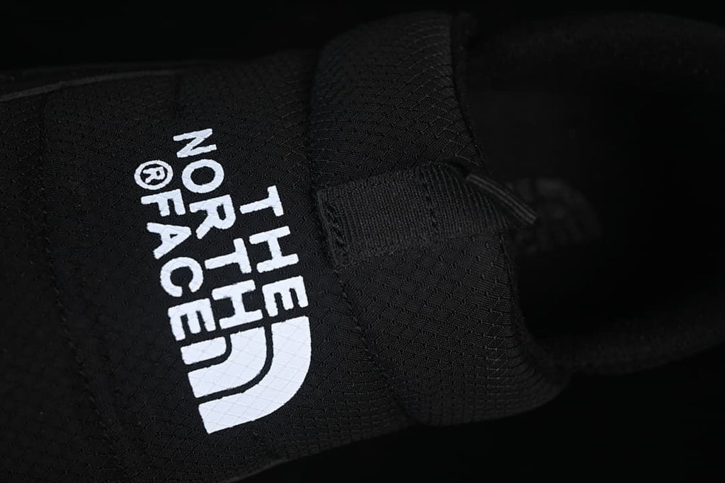 Close-up of The North Face logo on the shoe upper
