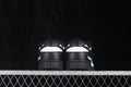 Rear view of black and white Nike SB Dunk Low sneakers showing black heels, white collar panels, and black outsoles.