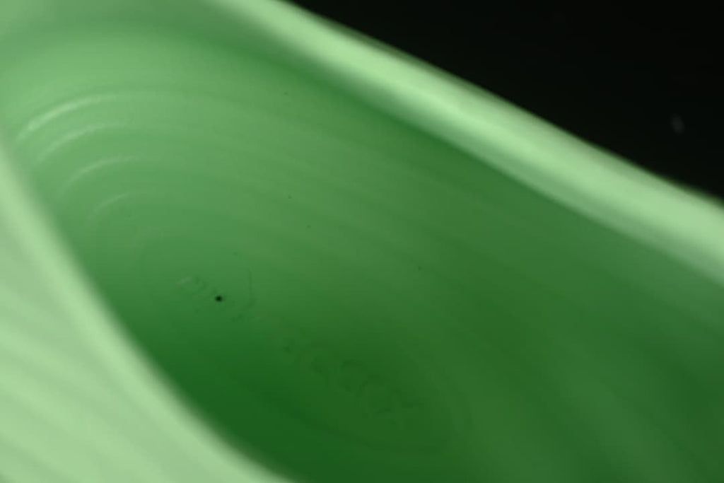 Close-up view inside the light green clog