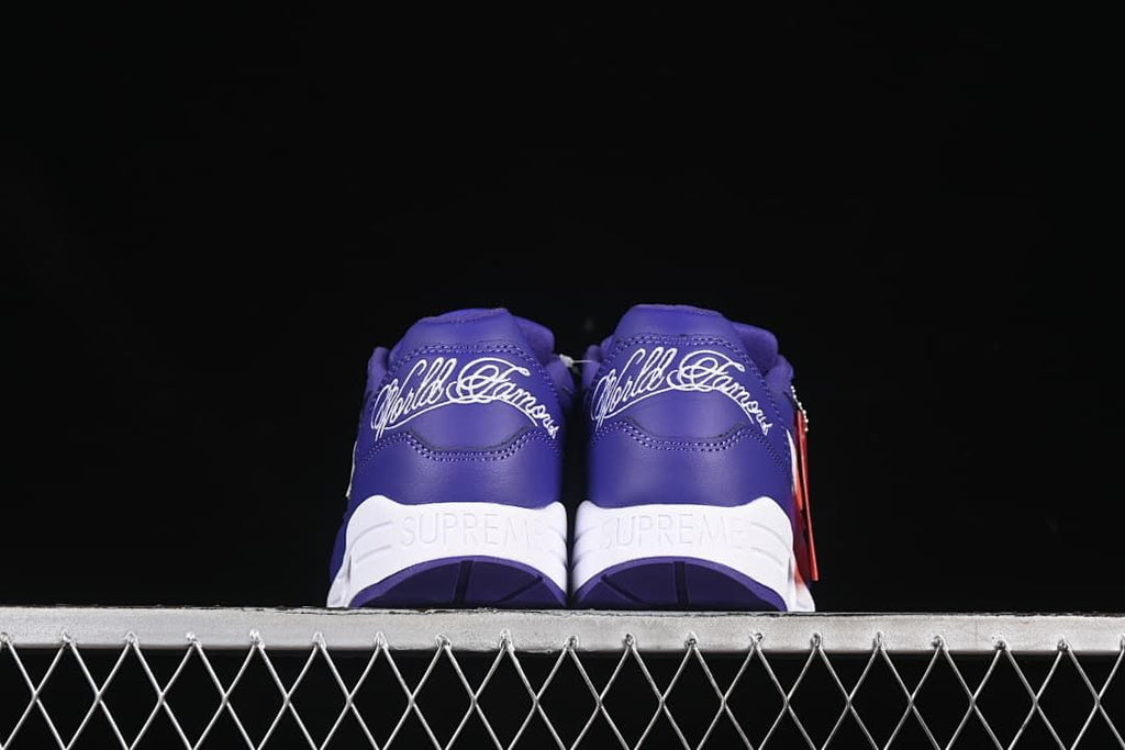 Rear view of the pair showing embroidered heel lettering