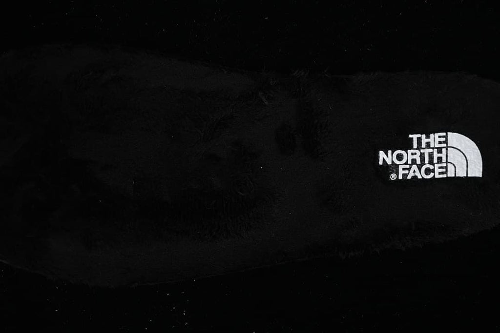 Close-up of the black interior lining and The North Face branding.