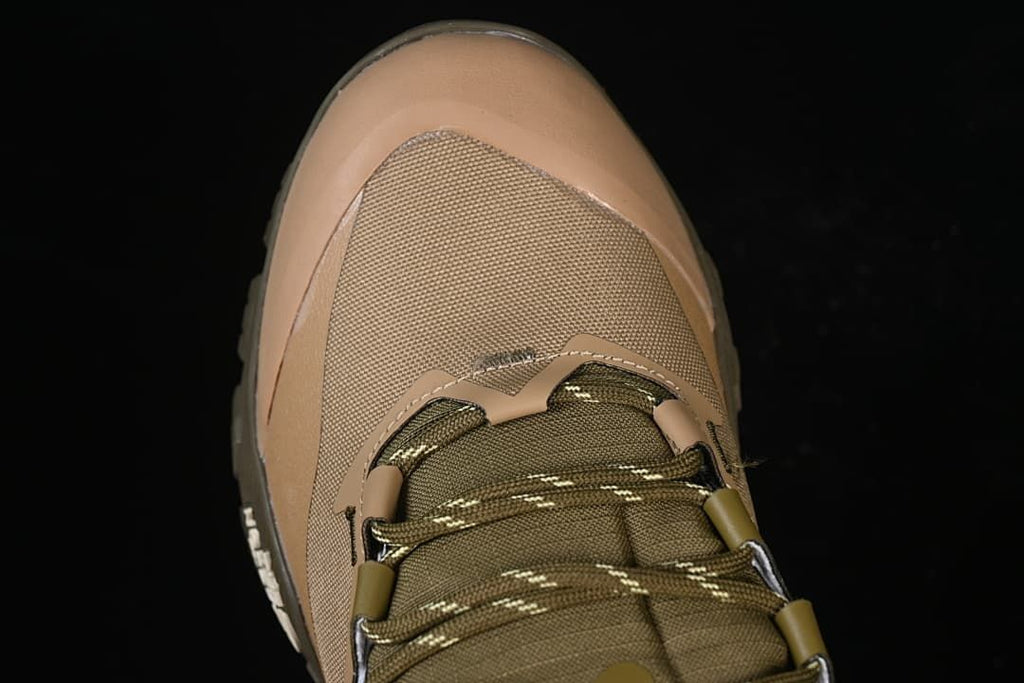 Top-down view of the shoe's toe and laces