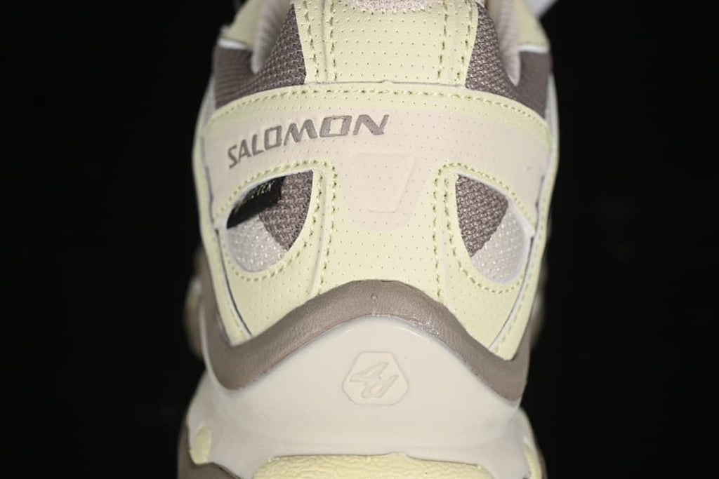 Rear view showing Salomon branding and layered heel construction