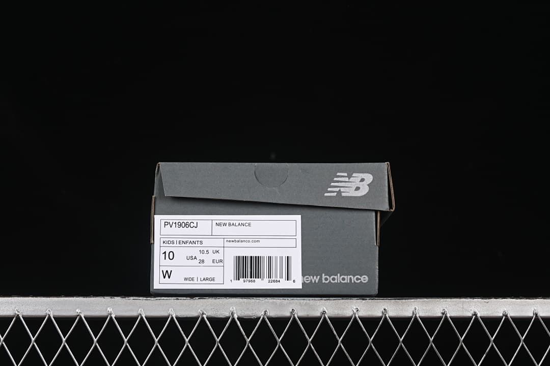 Shoebox label identifying model PV1906CJ and showing a sample size of EU 28.