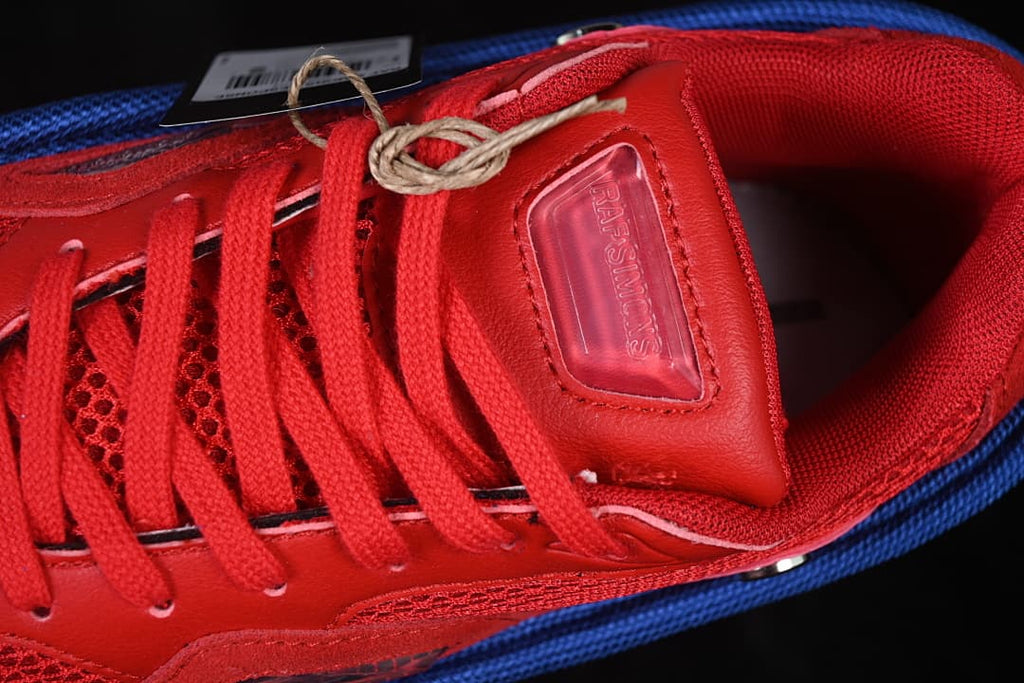 Close-up of the tongue panel and red laces