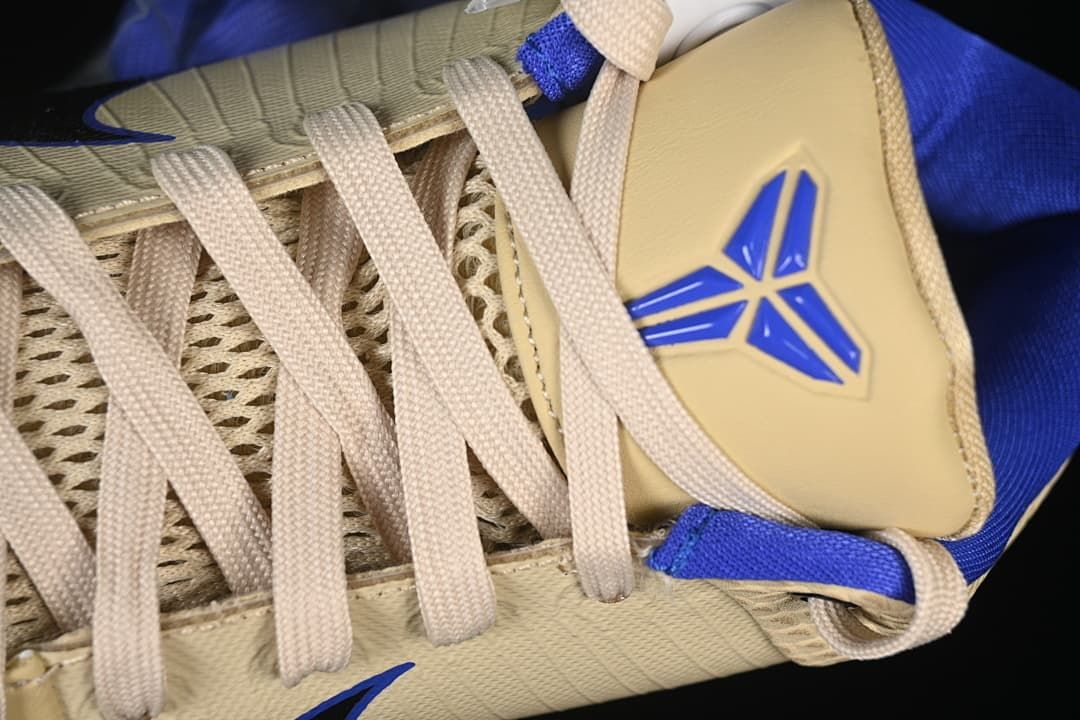 Close-up of the laces, mesh, and tongue emblem.