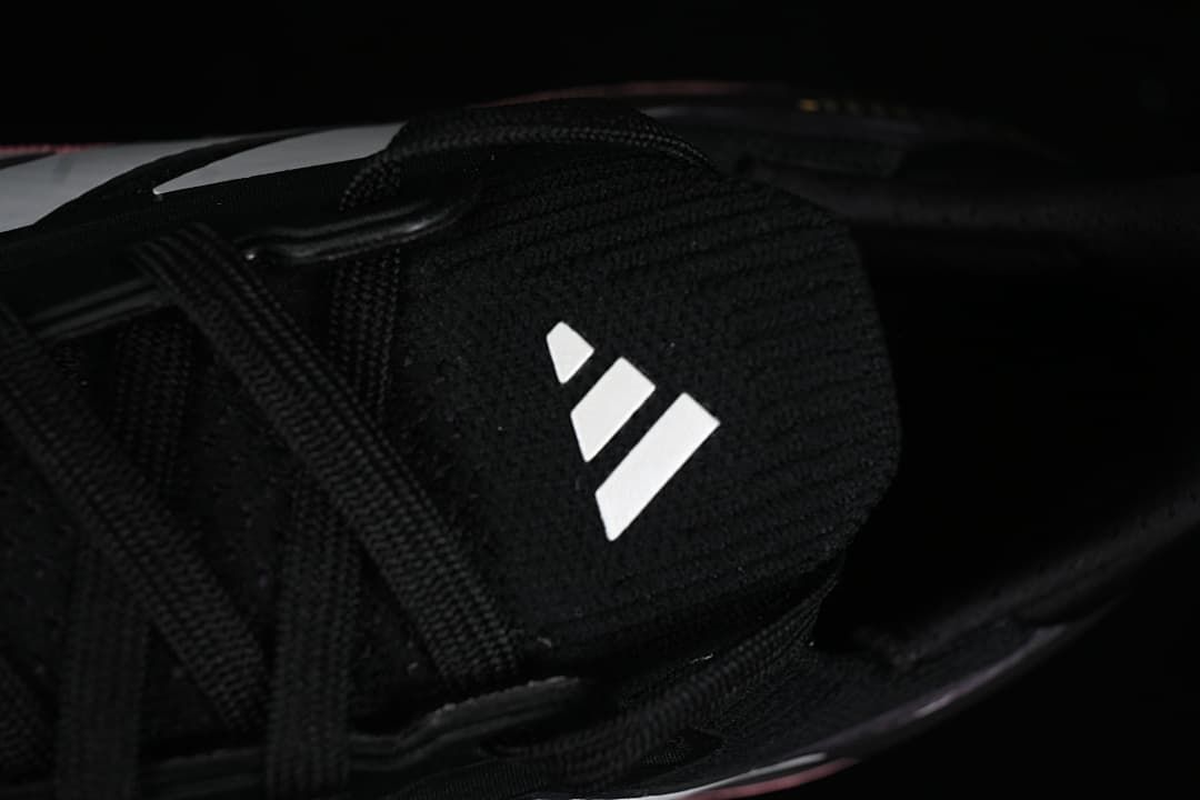 Close-up of the tongue logo and black laces.