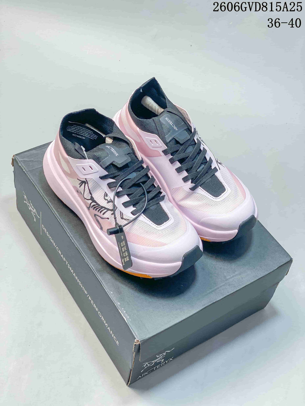 Pair of pink Arc'teryx KNORVAN SY low-top shoes.