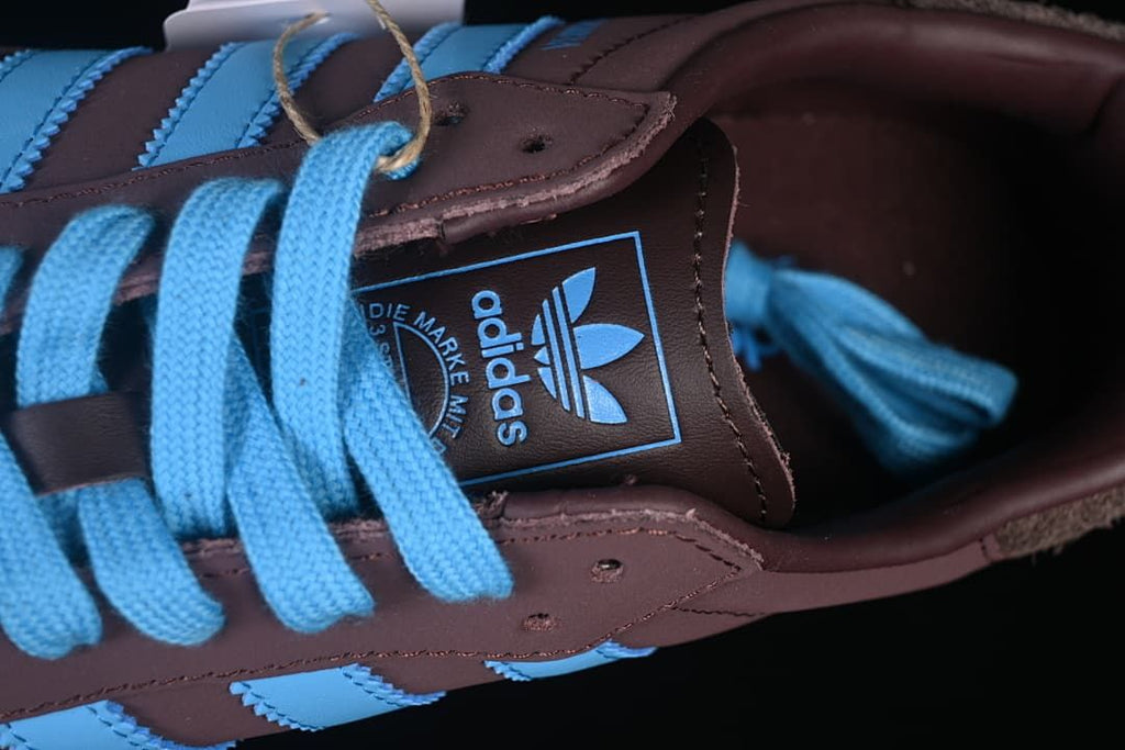 Close-up of the tongue branding and blue laces.