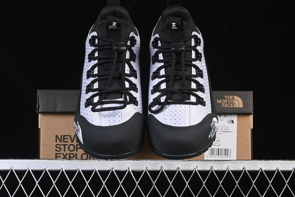 Front view of the pair positioned over the shoe box.