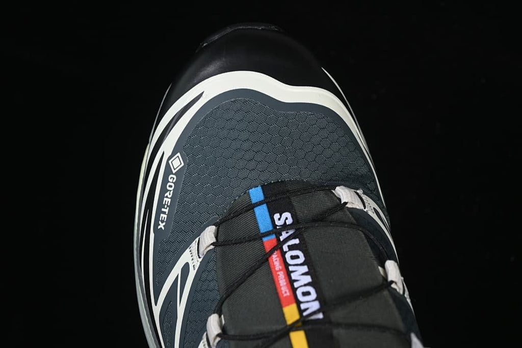 Top view of the toe and laces with visible GORE-TEX marking.