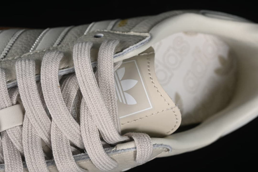 Close-up of the tongue logo and laces