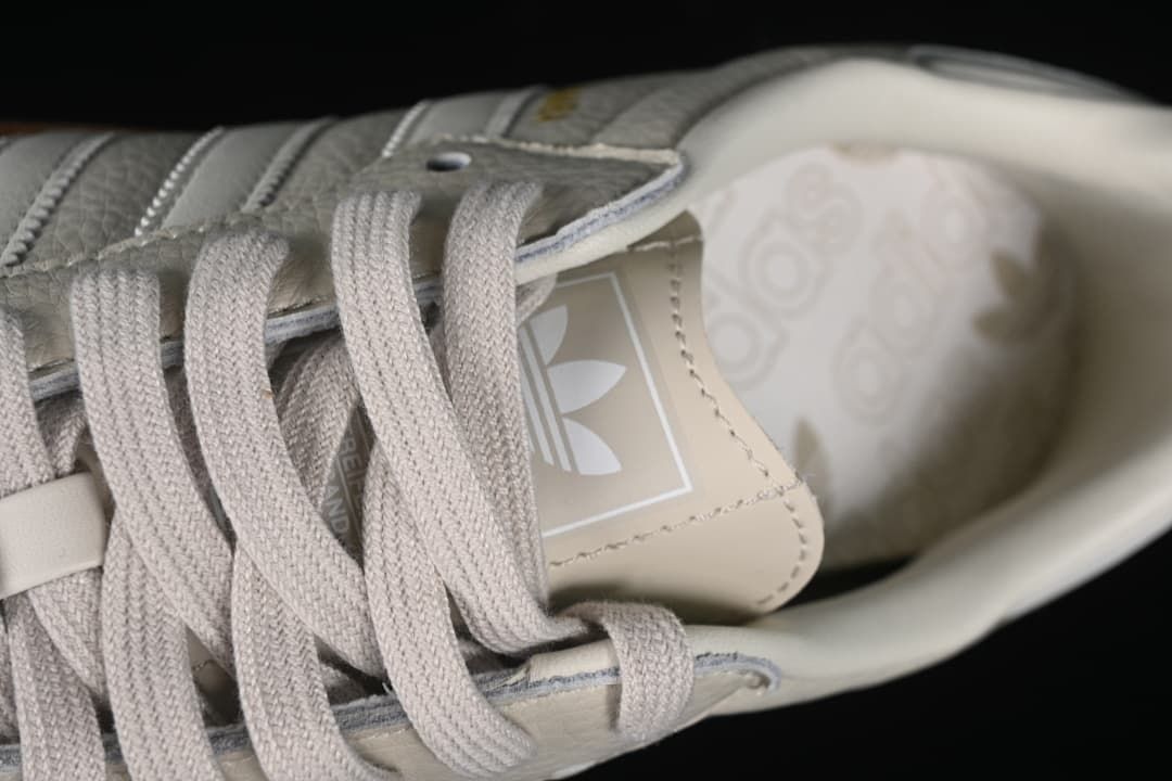 Close-up of the tongue logo and laces