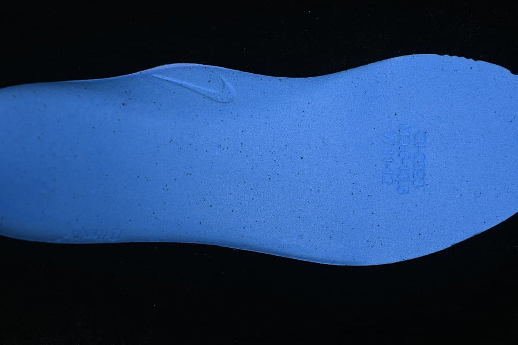 Blue shoe insert shown on its own