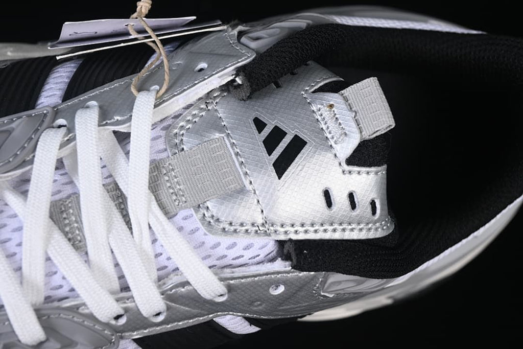 Close-up of the tongue, laces and collar
