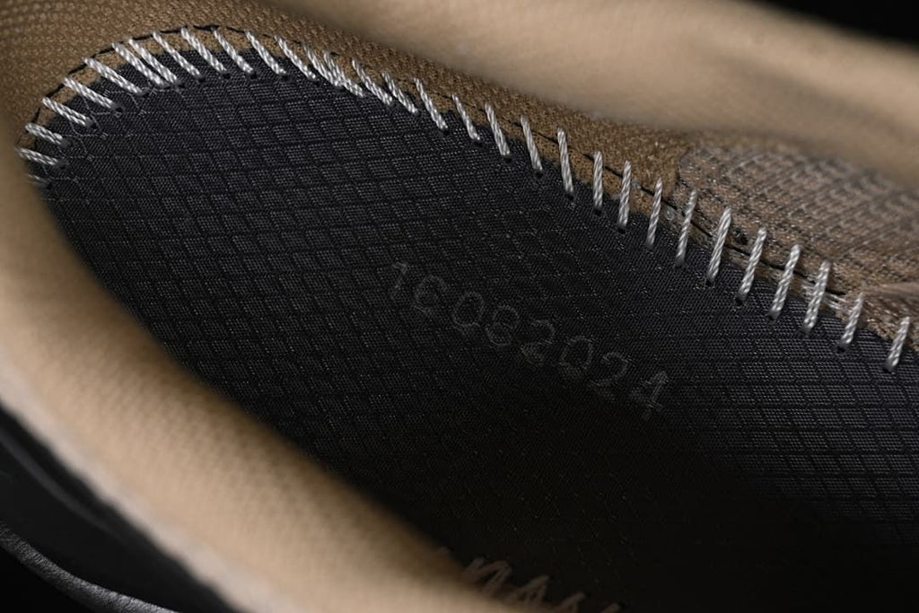Interior construction detail of the shoe