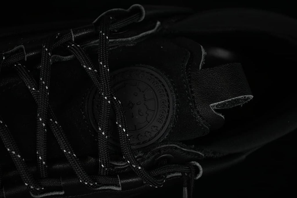Close-up of the sneaker tongue badge and lace-up fastening