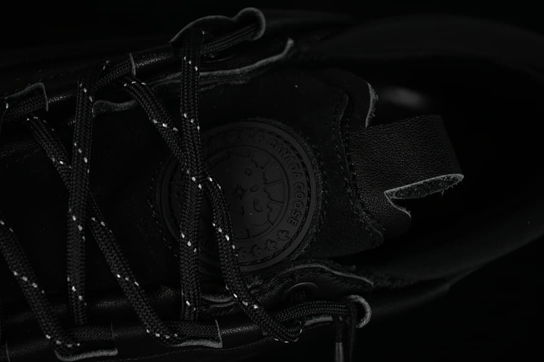 Close-up of the sneaker tongue badge and lace-up fastening