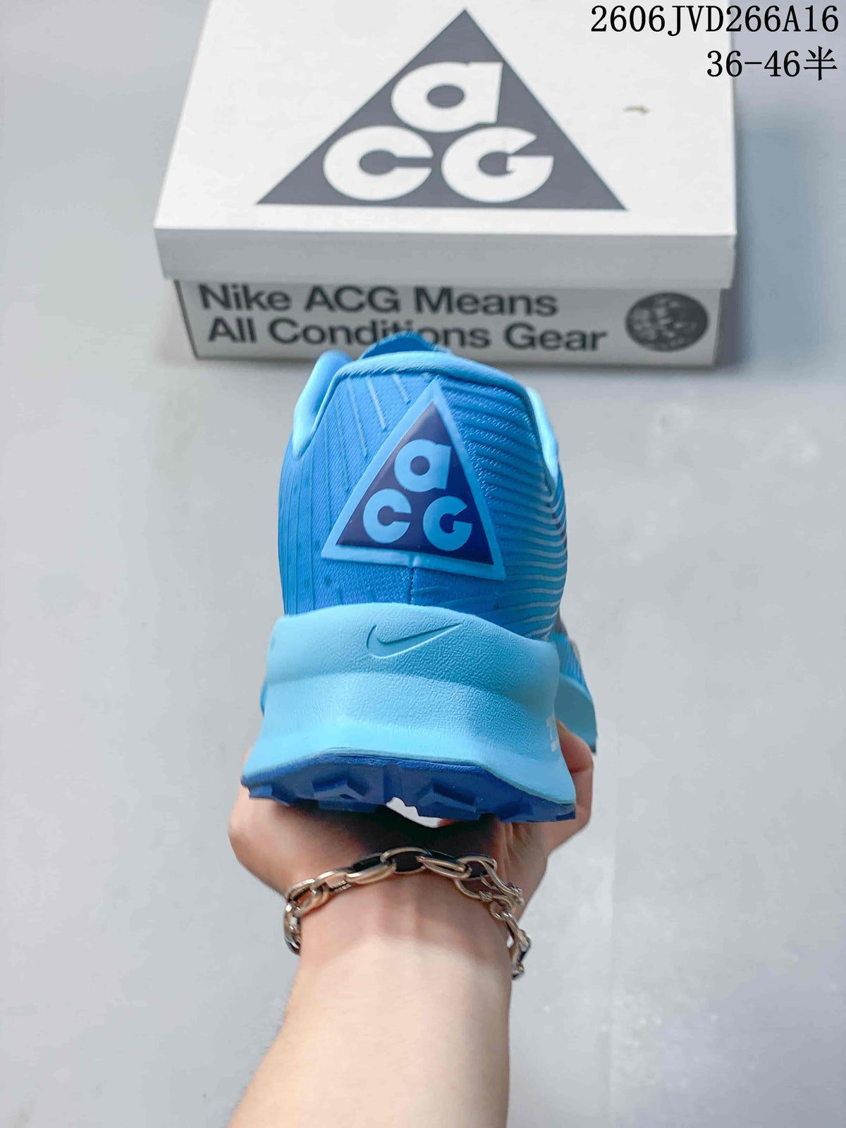 Rear view of the blue shoe with an ACG heel logo