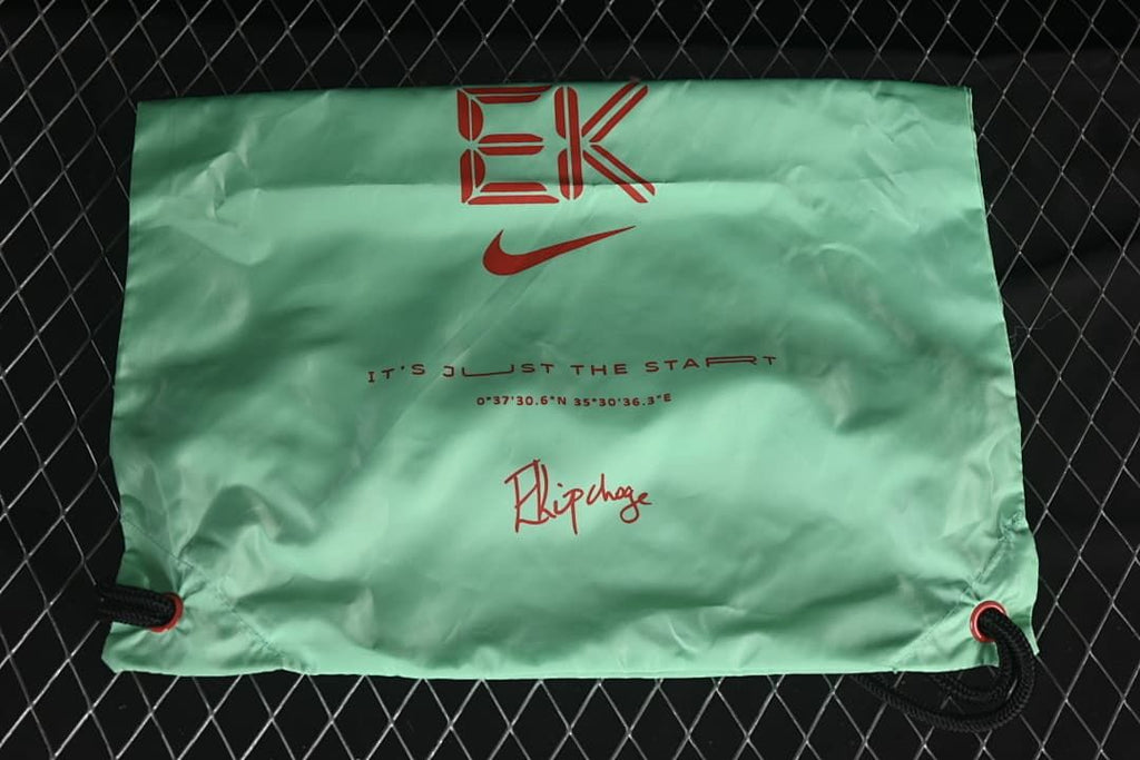 Mint-green drawstring bag with Nike branding shown beside the shoes