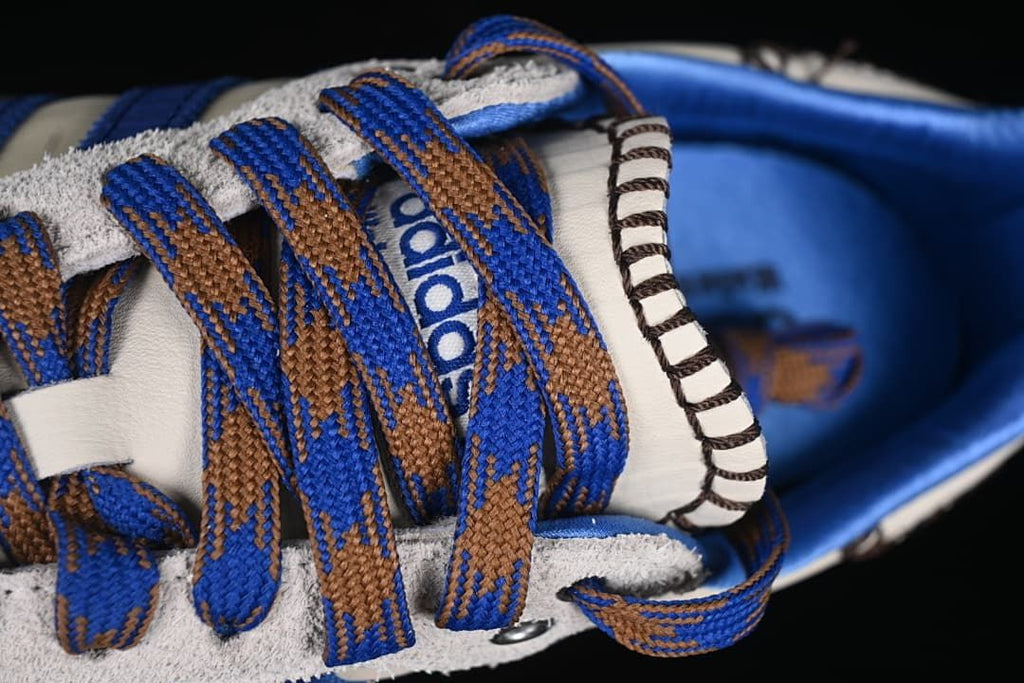 Detail view of the multicolored laces and blue interior lining.