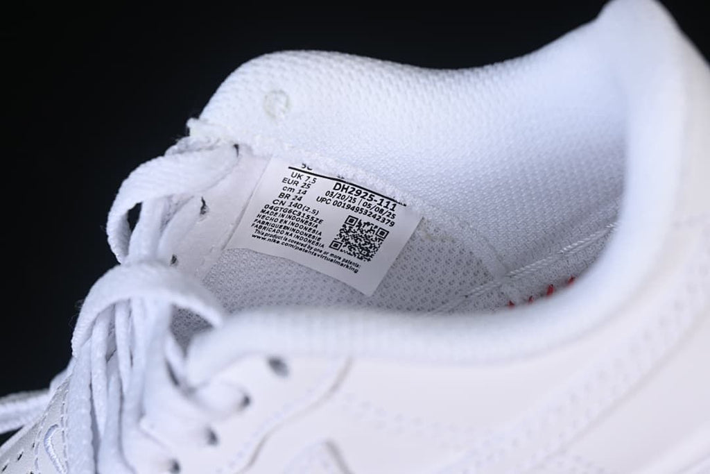 Close-up of the shoe tongue label showing style code DH2925-111