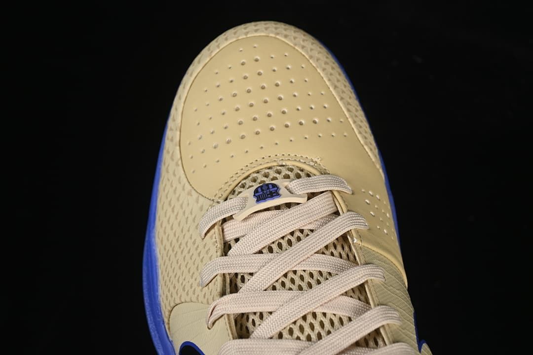 Top view of the perforated toe panel and laces.