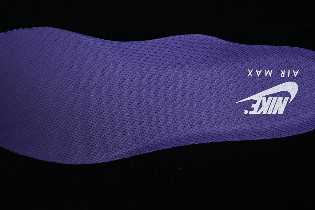 Purple Nike Air Max insole shown on its own
