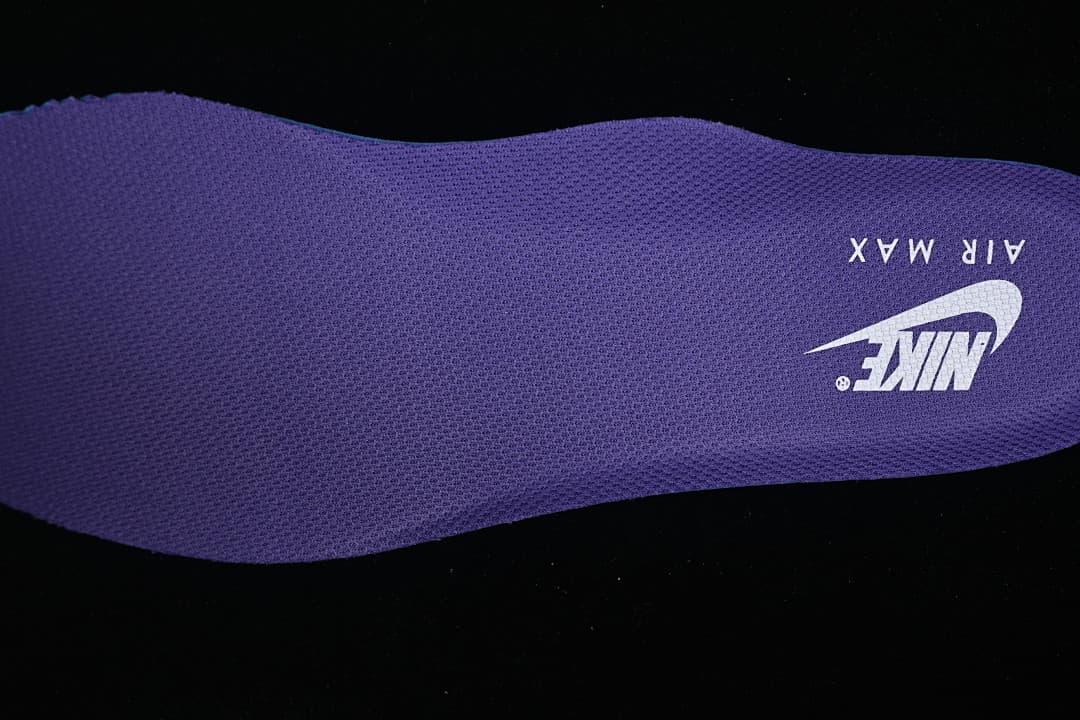 Purple Nike Air Max insole shown on its own