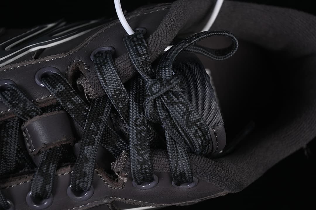 Close-up of dark laces and lace eyelets