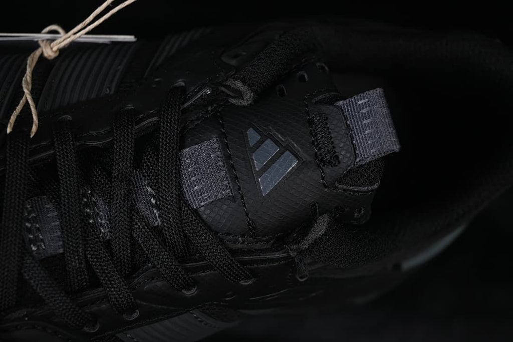 Close-up of the laces and tongue