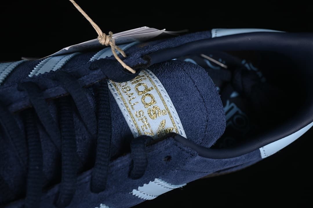 Top detail of the sneaker tongue, laces, and insole