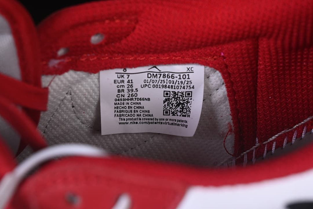 Inside shoe label showing style code DM7866-101 and sample sizing.
