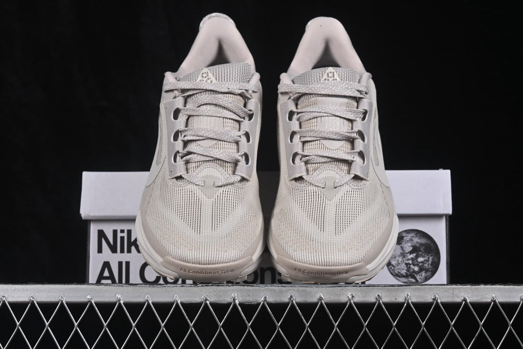 Front view of light gray Nike ACG Pegasus Trail sneakers with mesh uppers, laces, and ACG branding.
