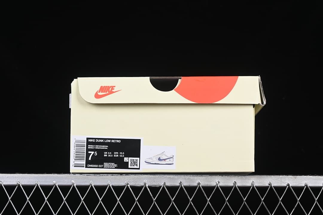 Shoebox label showing Nike Dunk Low Retro and product code DM6868-027
