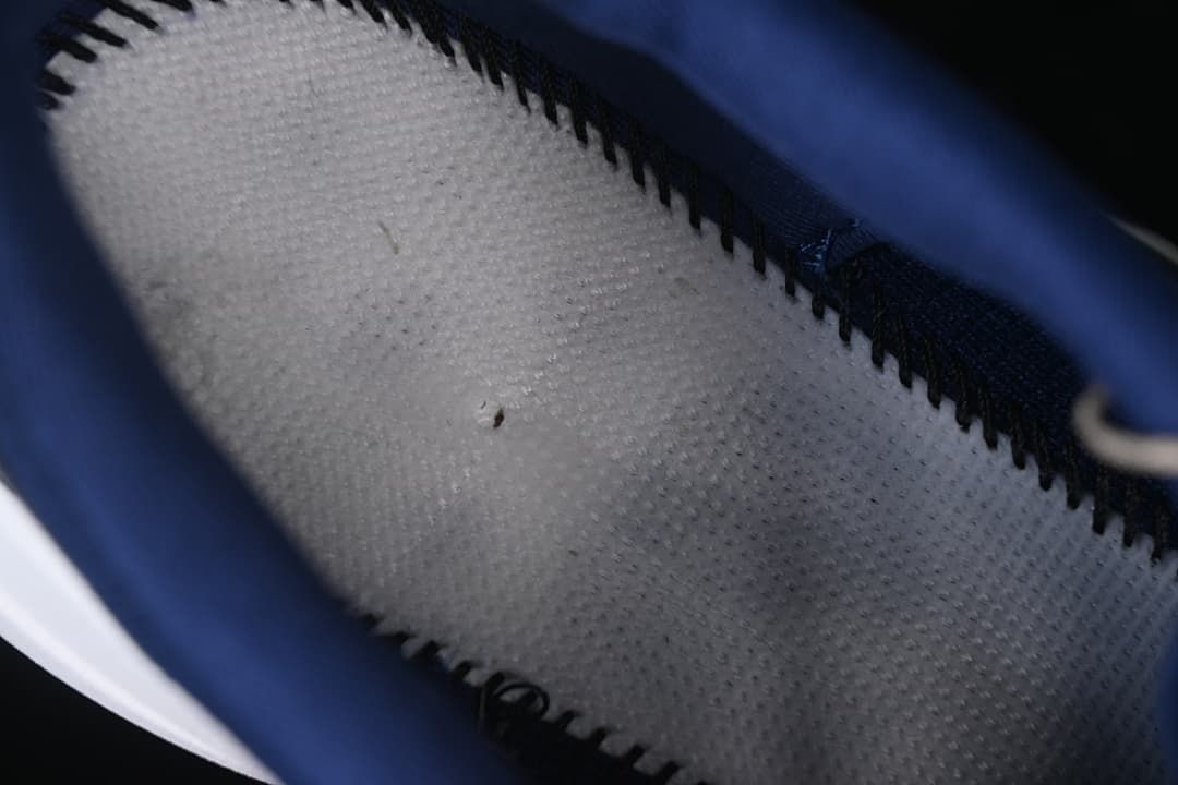 Close-up view inside the navy running shoe.