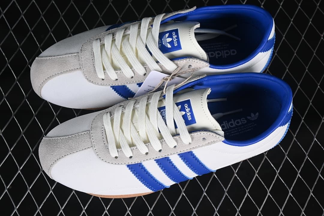 Overhead view of the pair of white and blue sneakers