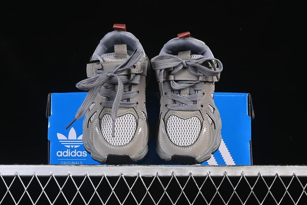 Front view of the pair displayed on a blue adidas box.