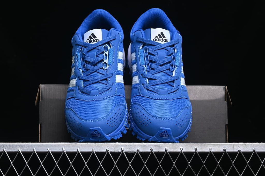 Front view of the pair with blue mesh uppers and white stripes